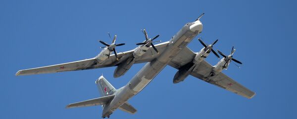 A Tupolev Tu-95MS Bear strategic bomber - Sputnik Türkiye