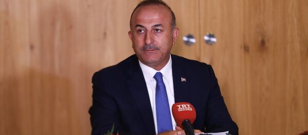 Dışişleri Bakanı Mevlüt Çavuşoğlu - Sputnik Türkiye