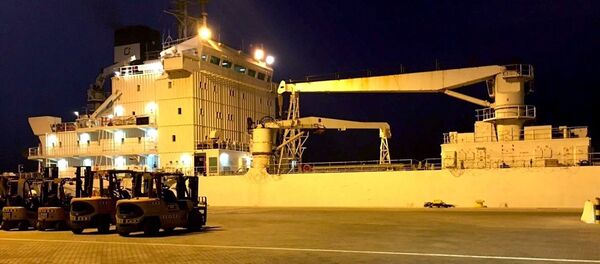 Katar - Türkiye - gıda gemisi - Sputnik Türkiye