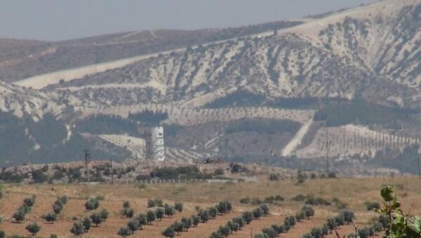 Suriye sınırı gözetleme-kuleleri - Sputnik Türkiye