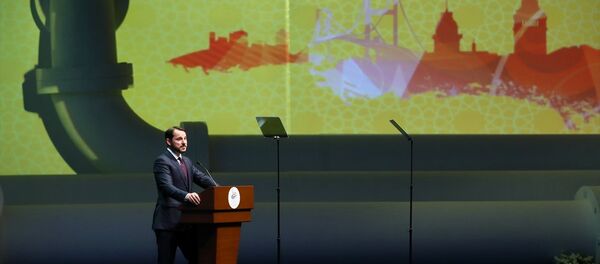 Enerji ve Tabii Kaynaklar Bakanı Berat Albayrak - Sputnik Türkiye