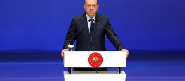 Cumhurbaşkanı Recep Tayyip Erdoğan Cumhurbaşkanı Recep Tayyip Erdoğan - Sputnik Türkiye