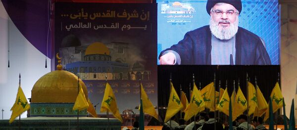 Hizbullah lideri Hasan Nasrallah - Sputnik Türkiye