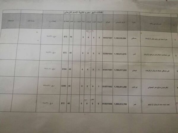 IŞİD'lilerin maaşını gösteren ve Musul'da bulunan belge - Sputnik Türkiye