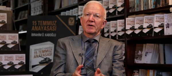 İbrahim Kaboğlu - Sputnik Türkiye