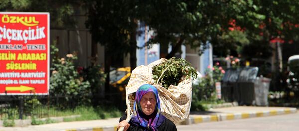Kesilen ağacını omuzladı, 'Neden kestiniz' diye belediyeye hesap sordu - Sputnik Türkiye