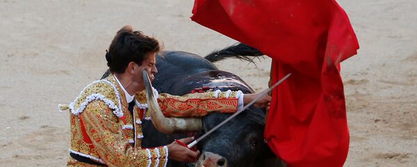 İspanya/ Boğa güreşi - Matador - Sputnik Türkiye