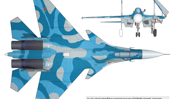 Su-33 donanma savaş uçağı - Sputnik Türkiye