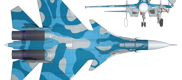 Su-33 donanma savaş uçağı - Sputnik Türkiye
