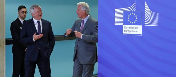 AB Komisyonunun Brexit Başmüzakerecisi Michel Barnier ve İngiltere Brexit Bakanı David Davis - Sputnik Türkiye