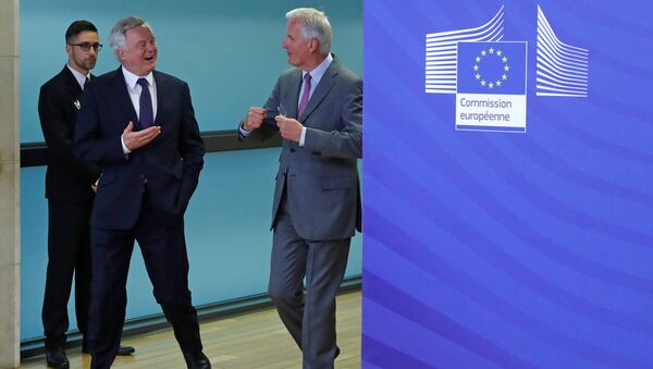 AB Komisyonunun Brexit Başmüzakerecisi Michel Barnier ve İngiltere Brexit Bakanı David Davis - Sputnik Türkiye