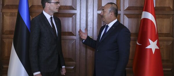 Mevlüt Çavuşoğlu - Sputnik Türkiye