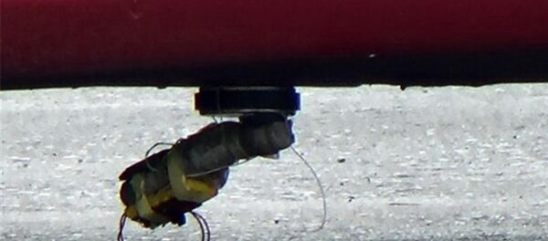 Bomba süsü verilmiş düzenek - Sputnik Türkiye