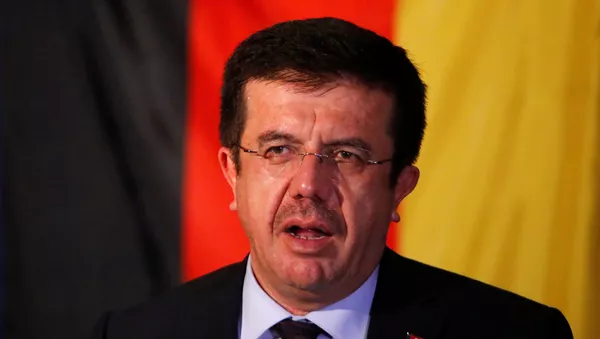Ekonomi Bakanı Nihat Zeybekci - Sputnik Türkiye