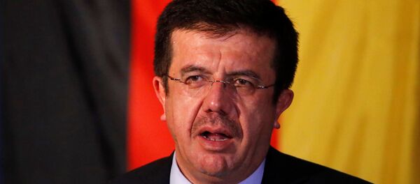 Ekonomi Bakanı Nihat Zeybekci - Sputnik Türkiye