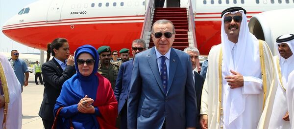 Recep Tayyip Erdoğan- Katar Emiri Şeyh Temim bin Hamad el Sani - Sputnik Türkiye
