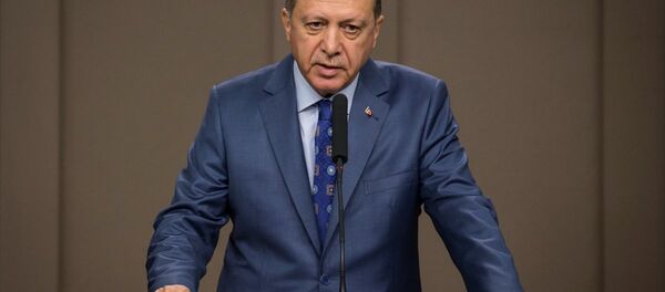 Cumhurbaşkanı Recep Tayyip Erdoğan - Sputnik Türkiye