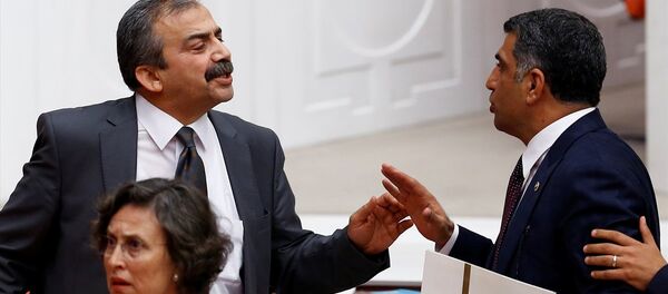 HDP'li Sırrı Süreyya Önder ve CHP'li Gürsel Erol - Sputnik Türkiye