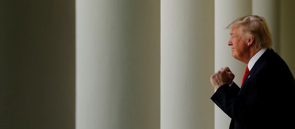 Donald Trump - Sputnik Türkiye