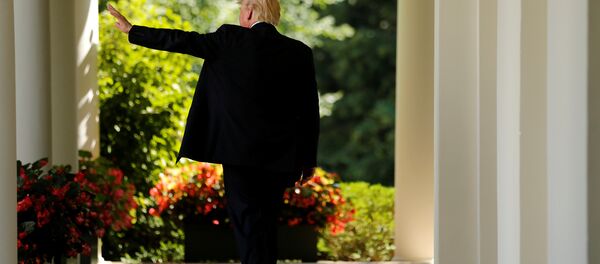 ABD Başkanı Donald Trump - Sputnik Türkiye