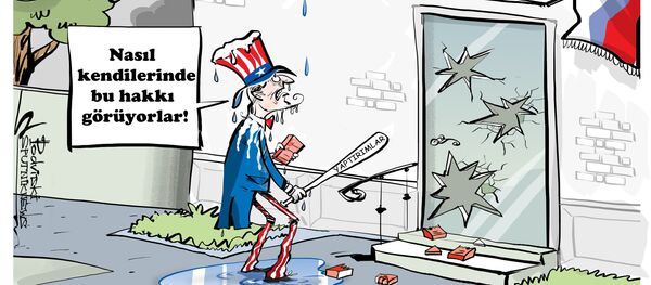 Karikatür - Sputnik Türkiye