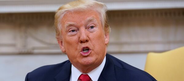 ABD Başkanı Donald Trump - Sputnik Türkiye