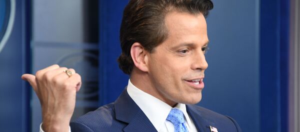 Anthony Scaramucci - Sputnik Türkiye
