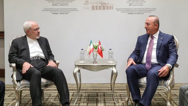 Dışişleri Bakanı Mevlüt Çavuşoğlu - İran Dışişleri Bakanı Cevad Zarif - Sputnik Türkiye