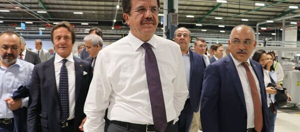 Ekonomi Bakanı Nihat Zeybekci - Sputnik Türkiye
