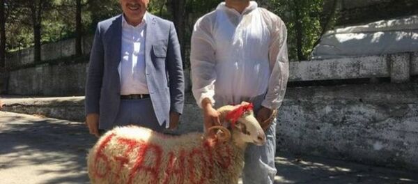 Kozlu ilçesi Belediye Başkanı Kerim Yılmaz Kozlu ilçesi Belediye Başkanı Kerim Yılmaz - Sputnik Türkiye