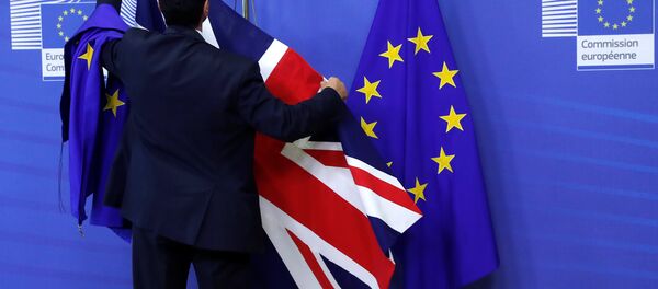 İngiltere- Brexit - Sputnik Türkiye