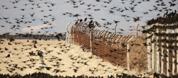 İsrail - Ürdün sınırı - Sputnik Türkiye