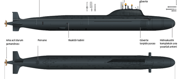 Rusya'nın Ulyanovsk denizaltısı - Sputnik Türkiye