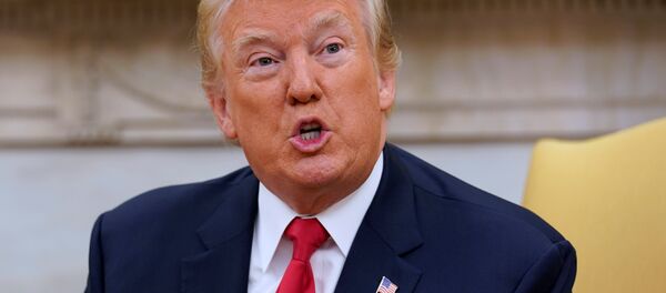 ABD Başkanı Donald Trump - Sputnik Türkiye