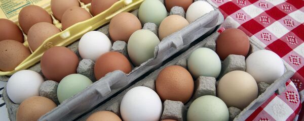 Yumurta - Sputnik Türkiye