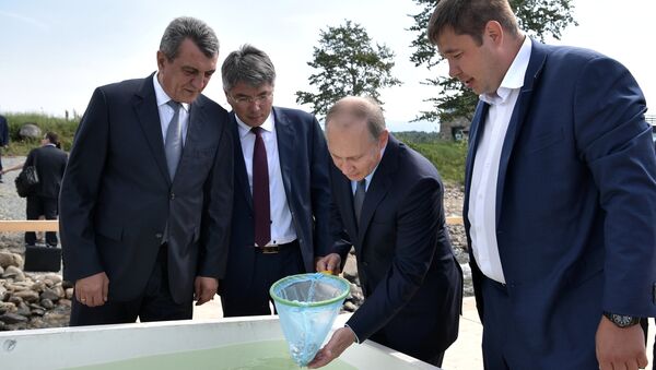 Vladimi Putin - Balık çiftliği - Sputnik Türkiye