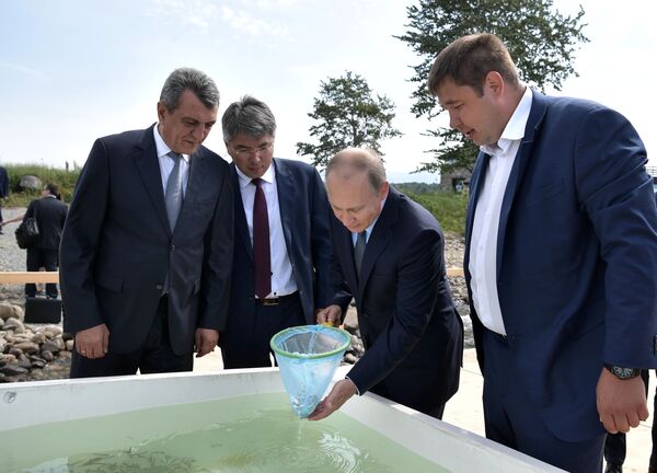 Putin, yavru beyaz balığın Baykal Gölü’ne bırakılması törenine katıldı. - Sputnik Türkiye