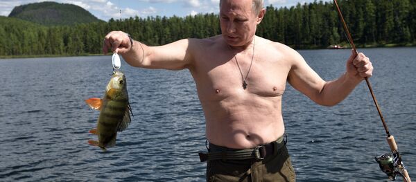 Rusya Devlet Başkanı Vladimir Putin - Sputnik Türkiye