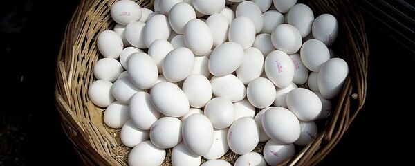 Yumurta - Sputnik Türkiye