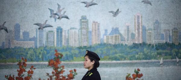 Kuzey Kore Kuzey Kore - Sputnik Türkiye