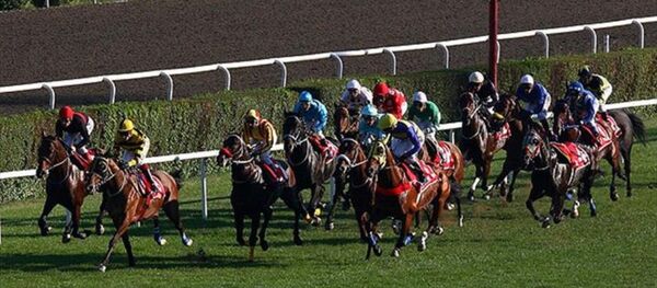 Veliefendi Hipodromu - Sputnik Türkiye