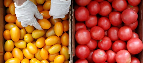 Domates - Sputnik Türkiye