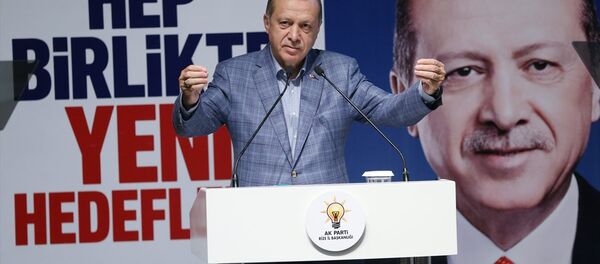 Cumhurbaşkanı Recep Tayyip Erdoğan - Sputnik Türkiye