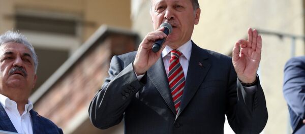 Cumhurbaşkanı Recep Tayyip Erdoğan - Sputnik Türkiye