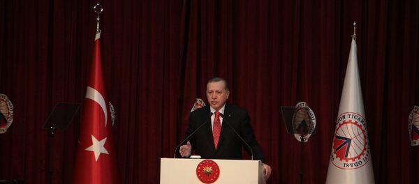 Cumhurbaşkanı Recep Tayyip Erdoğan - Sputnik Türkiye