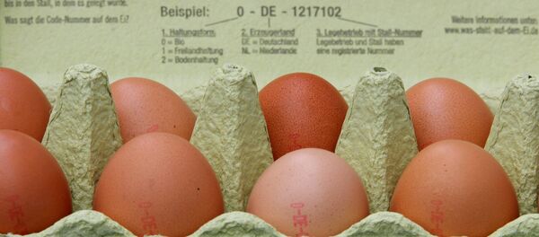 Yumurta Yumurta - Sputnik Türkiye