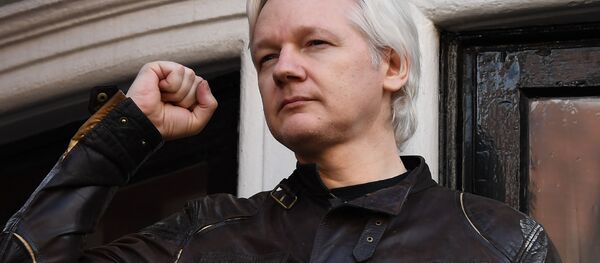WikiLeaks kurucusu Julian Assange - Sputnik Türkiye