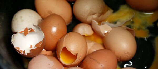 Yumurta Yumurta - Sputnik Türkiye