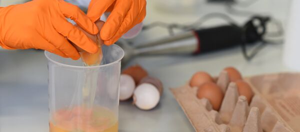 Avrupa'da fipronil adlı böcek ilaçlı yumurta krizi Avrupa'da fipronil adlı böcek ilaçlı yumurta krizi - Sputnik Türkiye