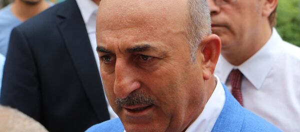 Dışişleri Bakanı Mevlüt Çavuşoğlu - Sputnik Türkiye